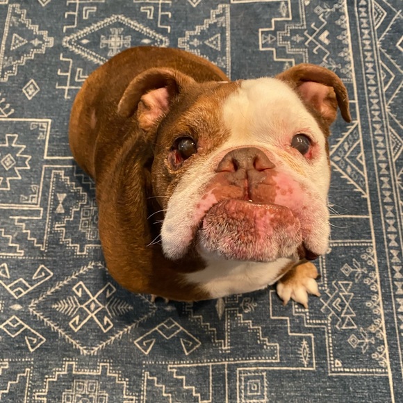 Meet your Posher, Michael - Picture 1 of 2